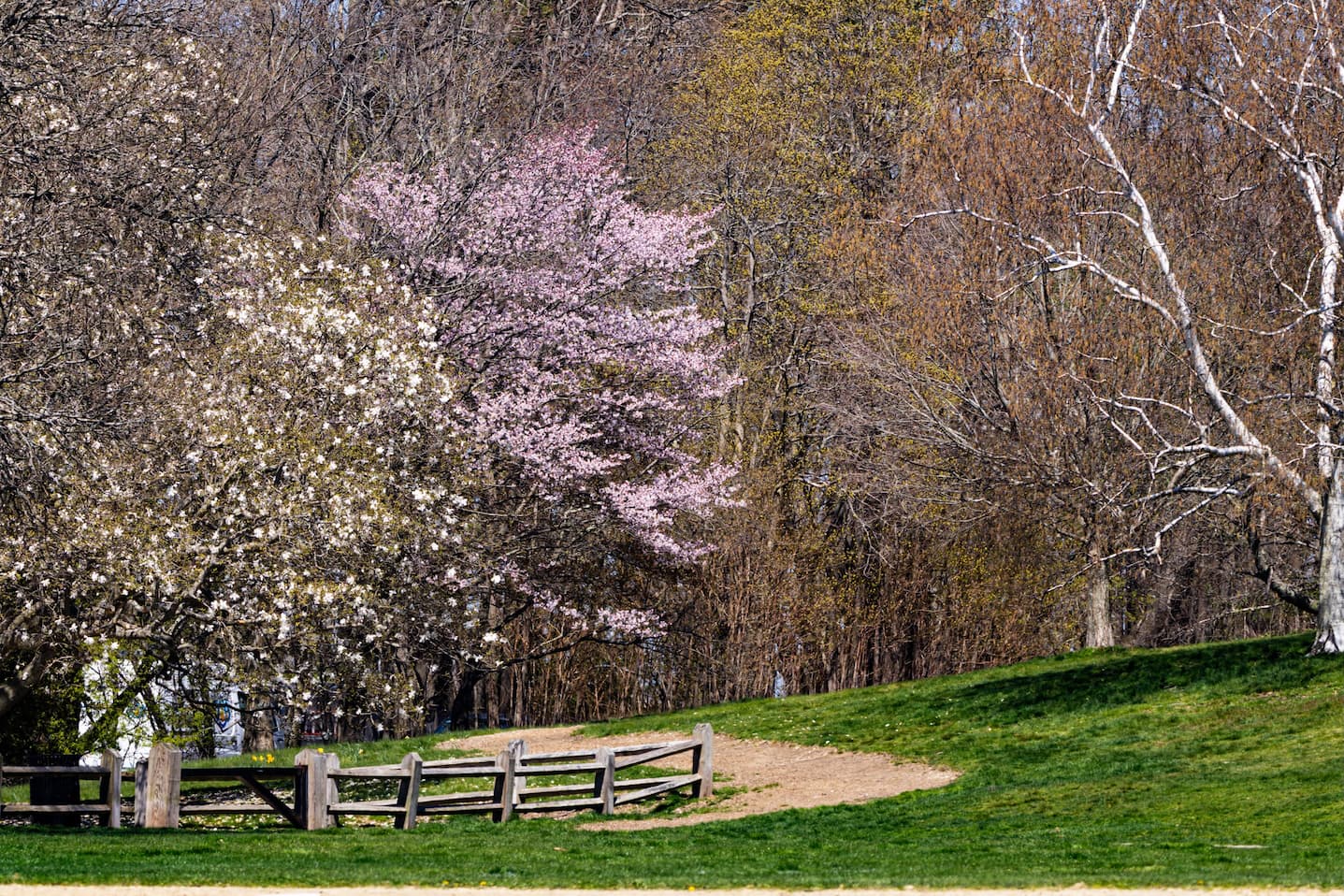 Larz Anderson Park, Boston